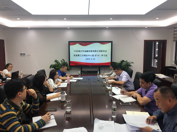 市金控公司黨委召開理論中心組（擴(kuò)大）學(xué)習(xí)會