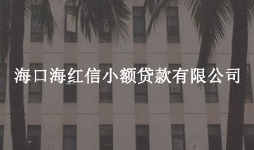 ?？诤＜t信小額貸款有限公司